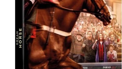 Dream About Horse Following Me – Decoding the Message