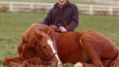 Dream About Having A Pet Horse – Symbolism and Significance