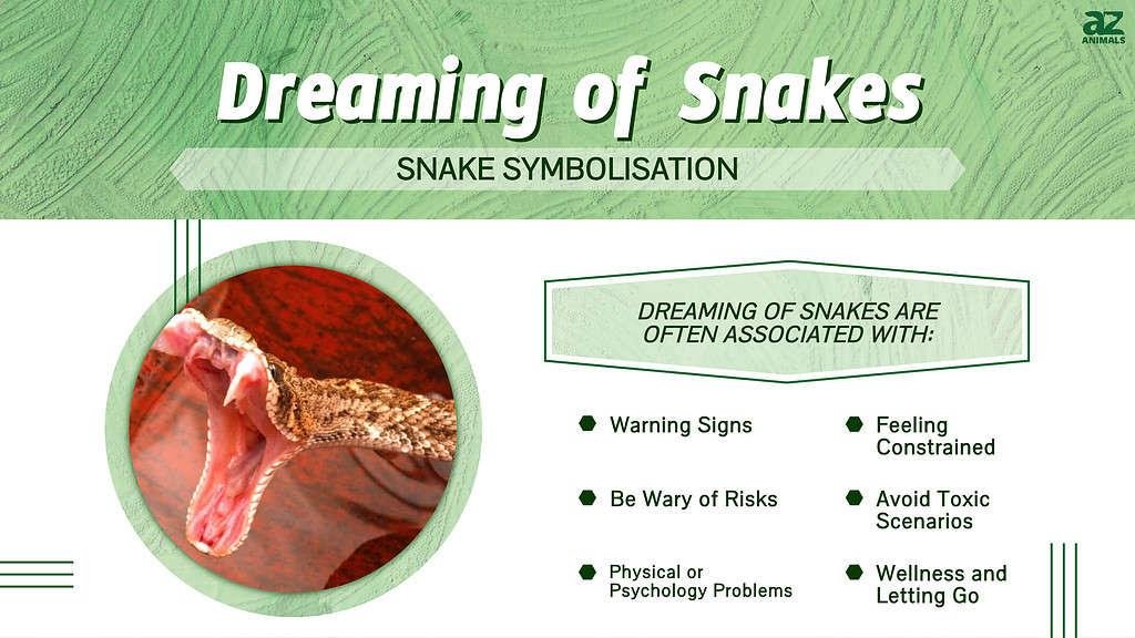 24x576.jpg6715b805c22ee - Dream About Snake Turning Into Cat – What It Could Indicate