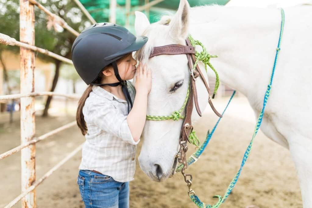 24x683 - Dream About Petting A Horse – What It Could Indicate