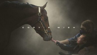 Dream About Petting A Horse – What It Could Indicate