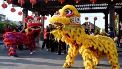 Dream About Lion Dance – Exploring the Meaning