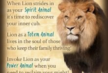 Dream About Seeing A Lion – Symbolism and Significance