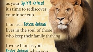 Dream About Seeing A Lion – Symbolism and Significance