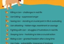 Dream About Lion And Tiger – What It Represents