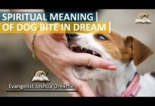 Dream About Dog Bite Meaning – Understanding Its Implications