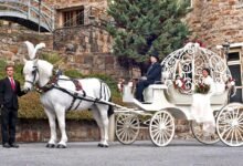 Dream About Riding A Horse Carriage – Spiritual and Psychological Insights