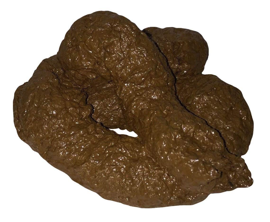 2BB4BL.jpg670f7cebaddd5 - Dream About Dog Feces – Exploring the Meaning