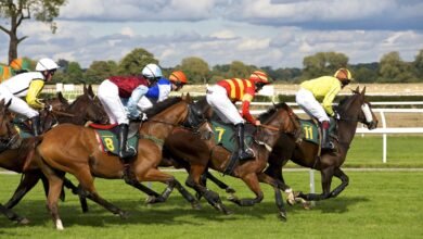 Dream About A Horse Race – Symbolism and Significance