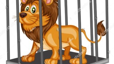 Dream About Lion In A Cage – Understanding Its Implications