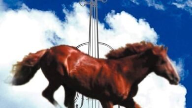 Dream About Owning A Horse – Spiritual and Psychological Insights