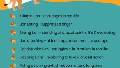 Dream About A Lion Laying On Top Of Me – Analysis and Explanation