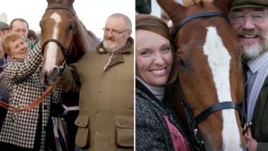 Dream Horse Plot – Understanding Its Implications
