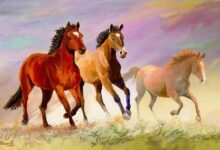 3570 dream about galloping horses exploring the meaning 220x150 - Dream About Someone Horse – Causes and Interpretations