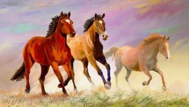 Dream About Galloping Horses – Exploring the Meaning