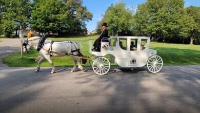 Dream About Horse Drawn Carriage – Analysis and Explanation