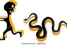 3993 dream about snake chasing you analysis and explanation 220x150 - Dream About Red And Black Snake – What It Could Indicate