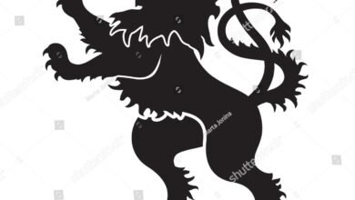 Dream About A Old Lion – Symbolism and Significance