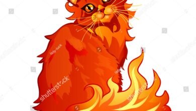 Dream About Cat On Fire – Spiritual and Psychological Insights