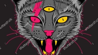 Dream About Evil Cat – Symbolism and Significance