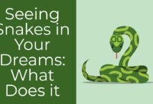 Dream About One Snake – Understanding Its Implications