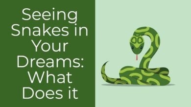 Dream About One Snake – Understanding Its Implications