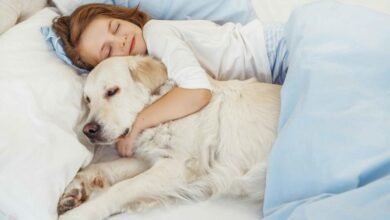 Dream About Cuddling A Dog – Exploring the Meaning