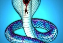 Dream About Snake Trying To Bite Me – Causes and Interpretations