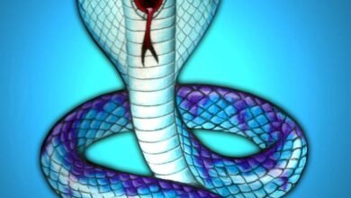 Dream About Snake Pursuing You – Decoding the Message