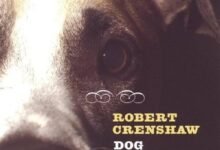 Dream About Running Over A Dog – Hidden Messages and Insights