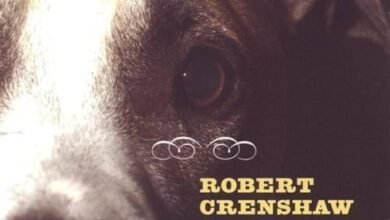 Dream About Running Over A Dog – Hidden Messages and Insights