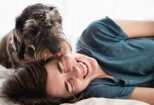 Dream About Dog Licking My Face – Causes and Interpretations