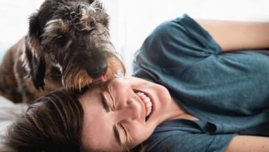 Dream About Dog Licking My Face – Causes and Interpretations