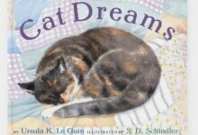 Dream About A Cat Following Me – Analysis and Explanation