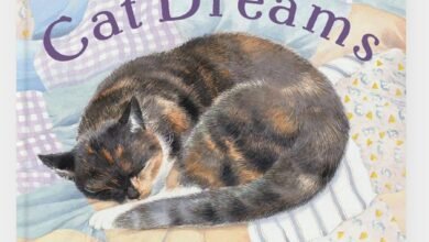 Dream About A Cat Following Me – Analysis and Explanation