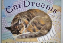 Dream About Cat Jumping On Me – Exploring the Meaning