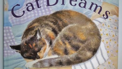 Dream About Cat Jumping On Me – Exploring the Meaning