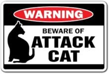 Dream About Being Attacked By A Cat – What It Could Indicate