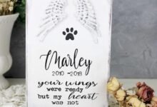 Dream About Dog Passing Away – Analysis and Explanation