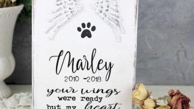 Dream About Dog Passing Away – Analysis and Explanation