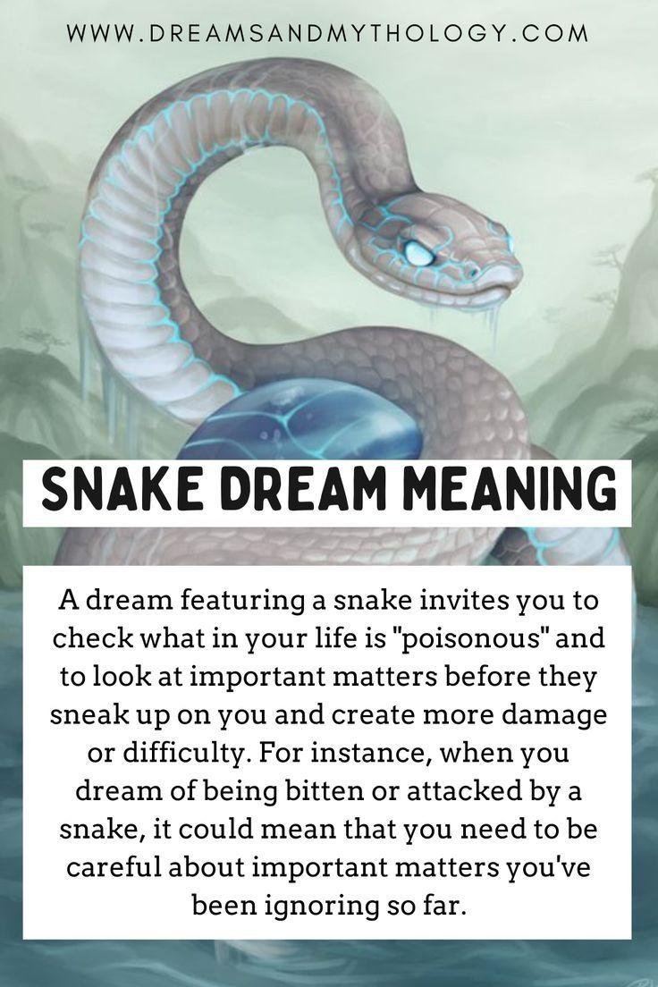 550840 - Dream About Snake Killing Someone – Decoding the Message