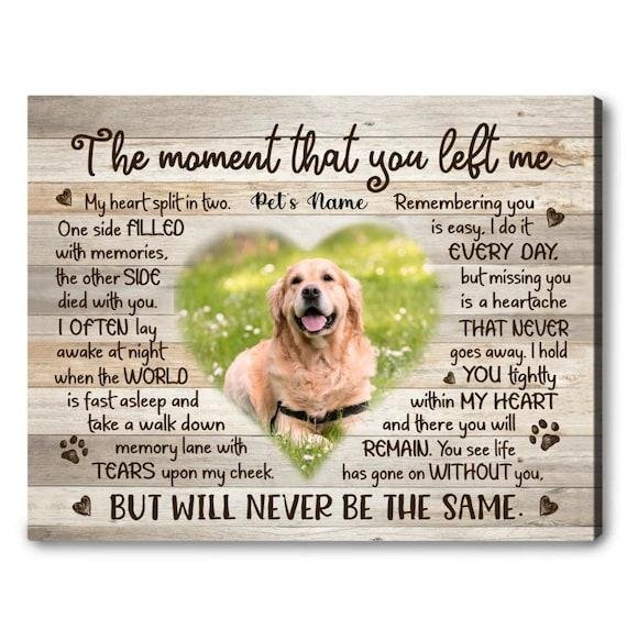 5 8gz1 - Dream About Dog Passing Away – Analysis and Explanation