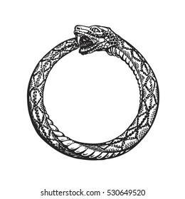 649520 - Dream About Snake Eating Itself – Causes and Interpretations