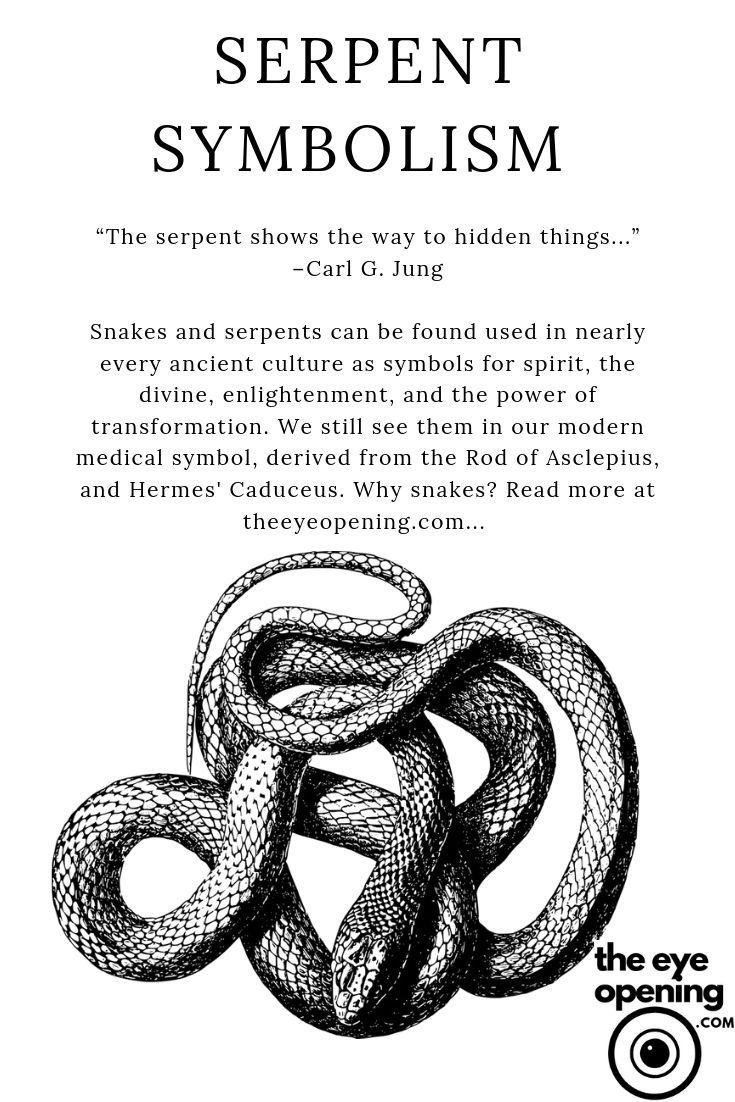698751.jpg67145e29c8f68 - Dream About Snake And Fish – Symbolism and Significance