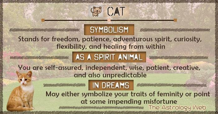 6cb460 - Dream About Cat In Islam – Symbolism and Significance