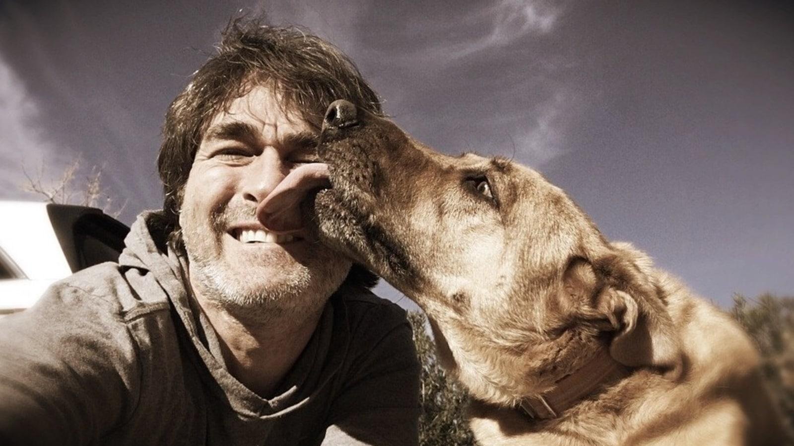 759078 - Dream About Dog Licking My Face – Causes and Interpretations