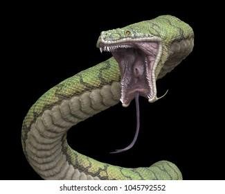 792552 - Dream About Snake Hissing – Analysis and Explanation