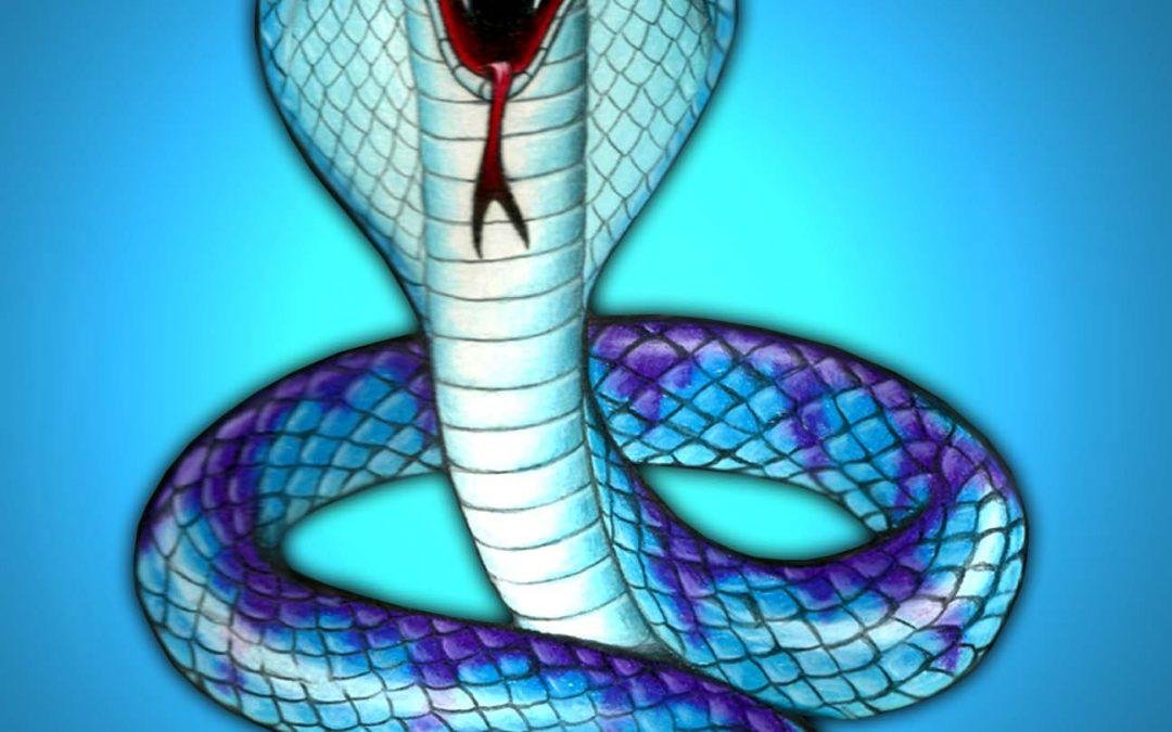 80x675 - Dream Snake Under Pillow – Exploring the Meaning
