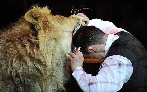 94115b - Dream About Lions Attacking People – Hidden Messages and Insights