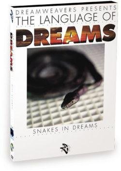 953963 - Dream About Snakes Hinduism – Exploring the Meaning